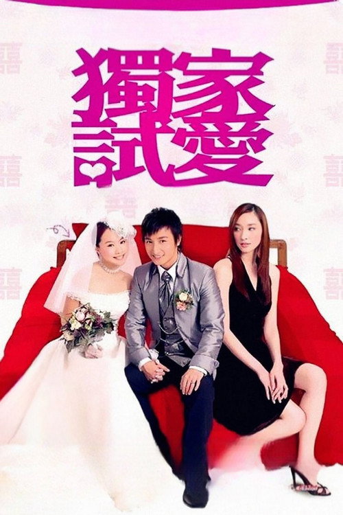 獨家試愛 постер