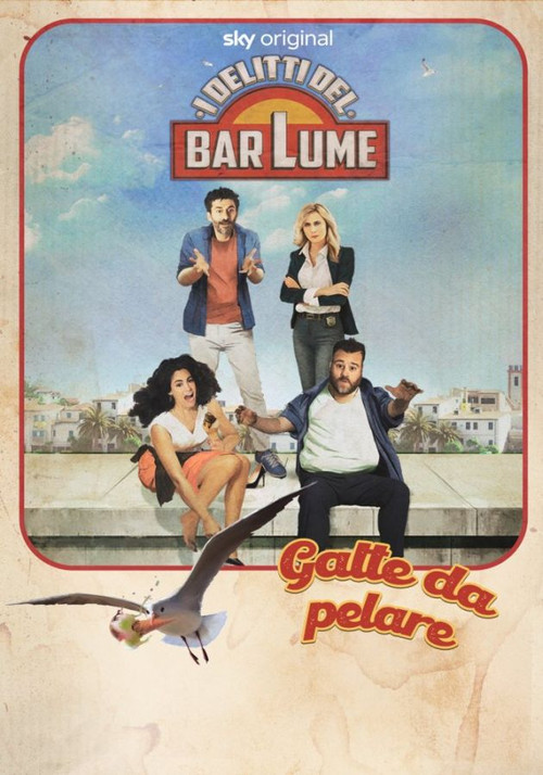 I delitti del Barlume - Gatte da pelare постер