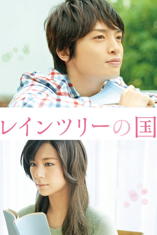 レインツリーの国 постер