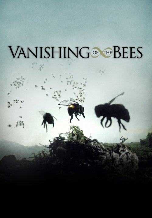 Vanishing of the Bees постер