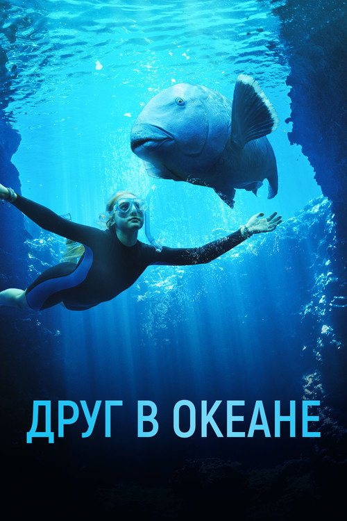 Друг в океане постер