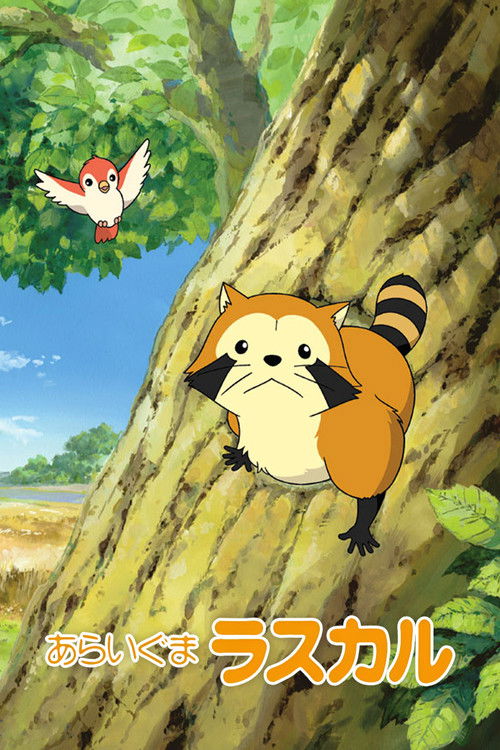 Rascal the Raccoon постер