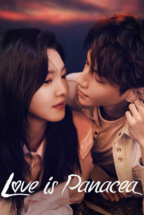 治愈系恋人 постер