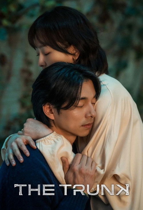 Саквояж постер