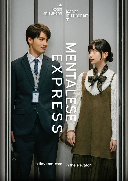 忐忑電梯 постер