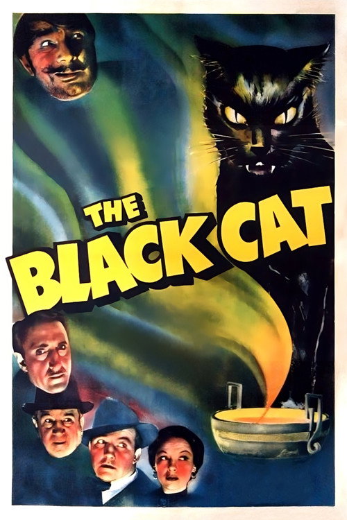 The Black Cat постер