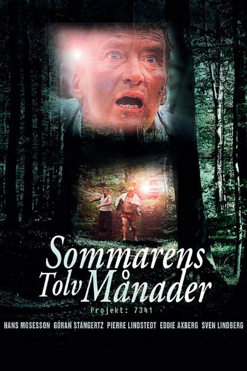 Sommarens Tolv Månader постер