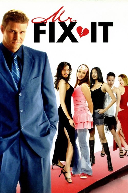 Mr. Fix It постер