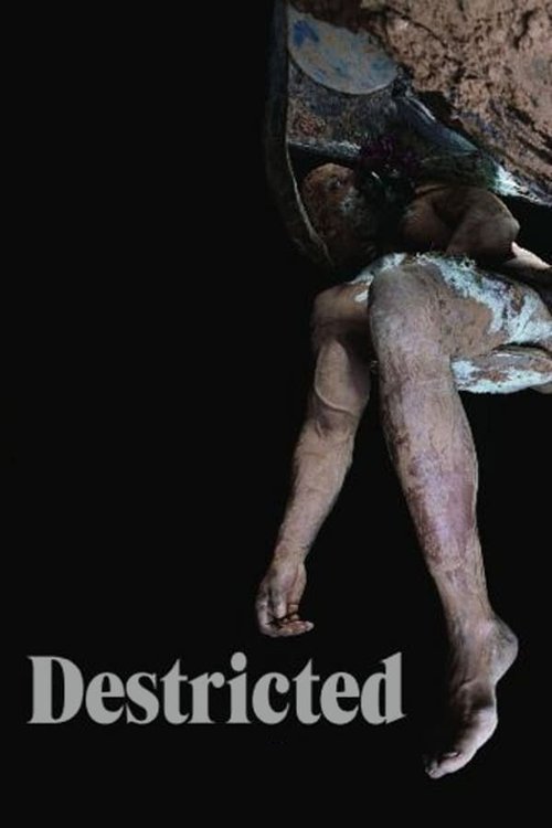 Destricted постер