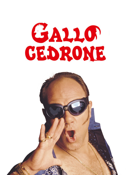 Gallo cedrone постер