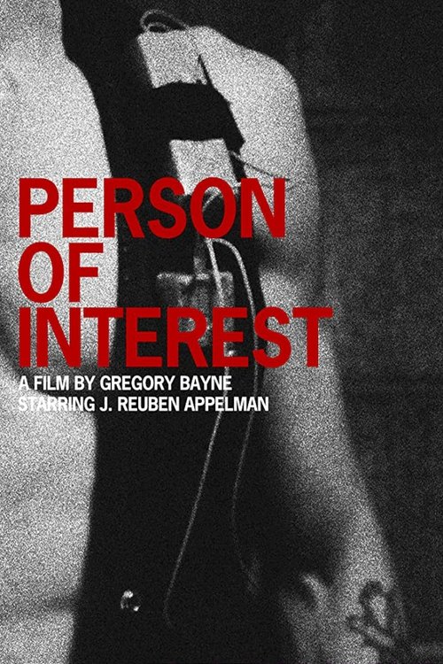 Person of Interest постер