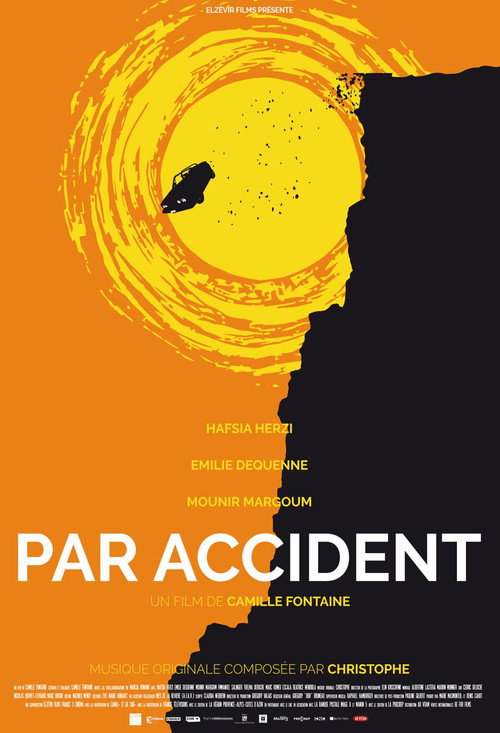Par accident постер