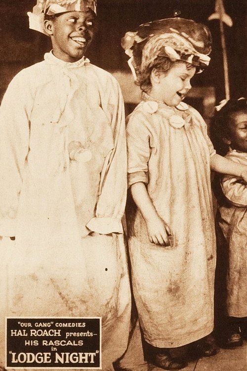 Ночной домик постер