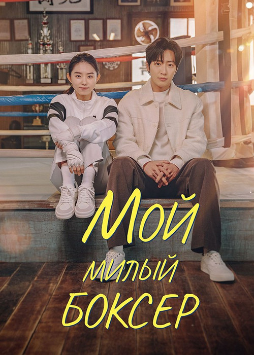 Мой милый боксёр постер