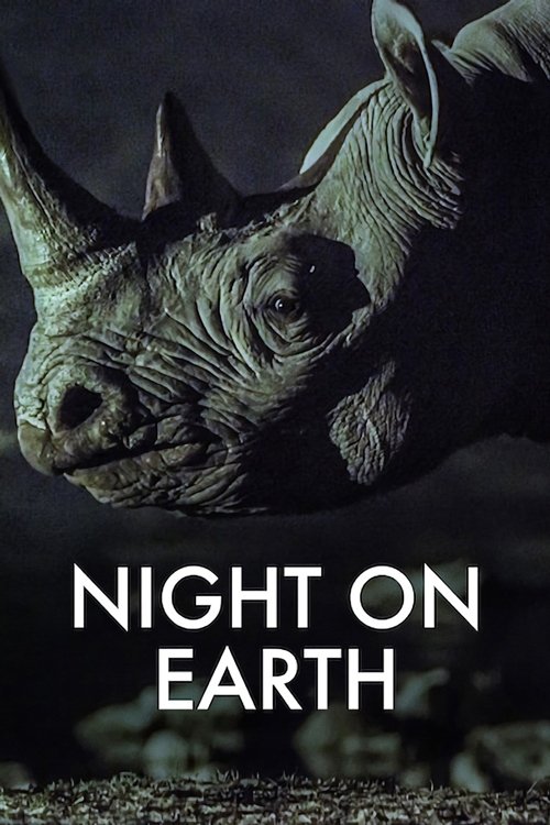 Night on Earth постер