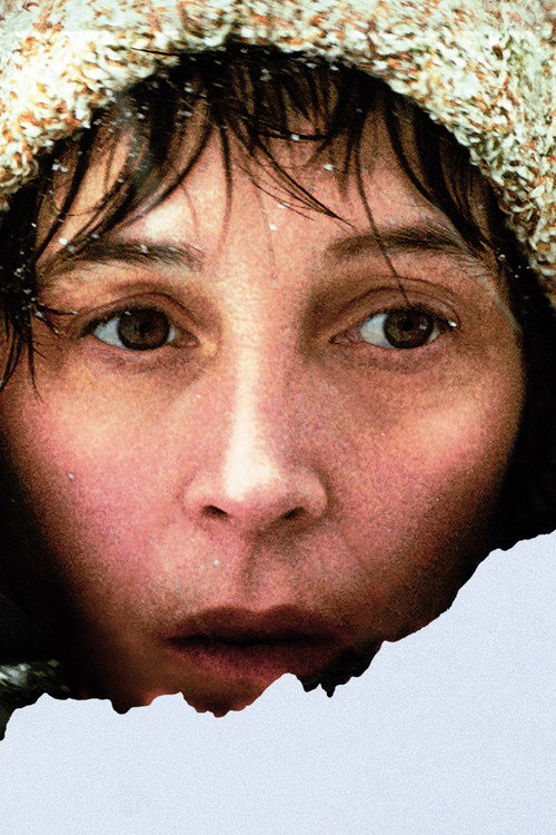 Winter Crossing постер