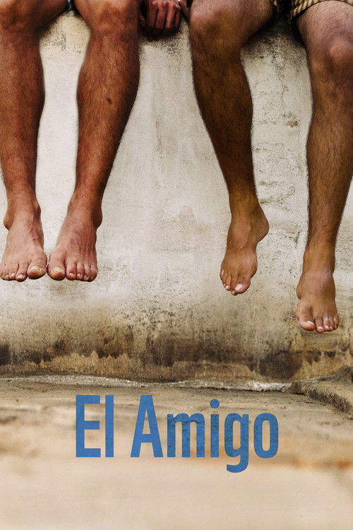 El amigo постер