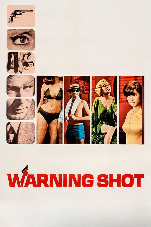 Warning Shot постер