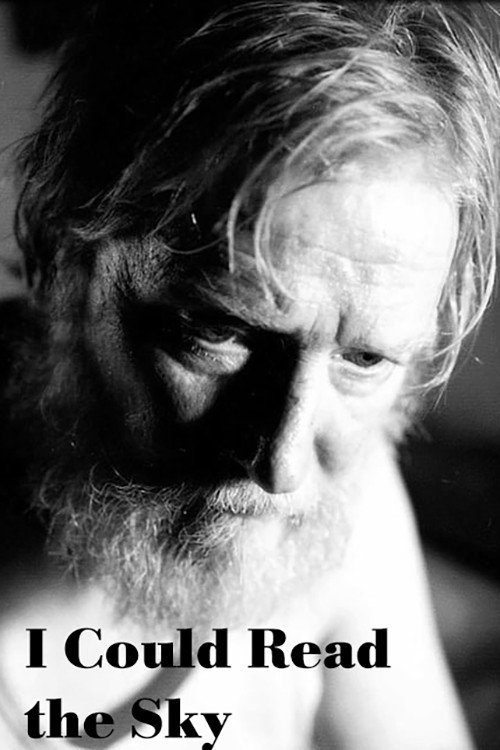 I Could Read the Sky постер