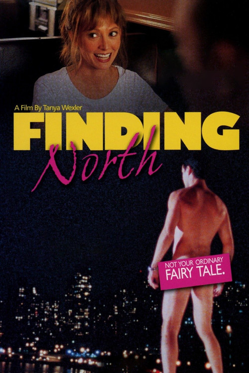 Finding North постер