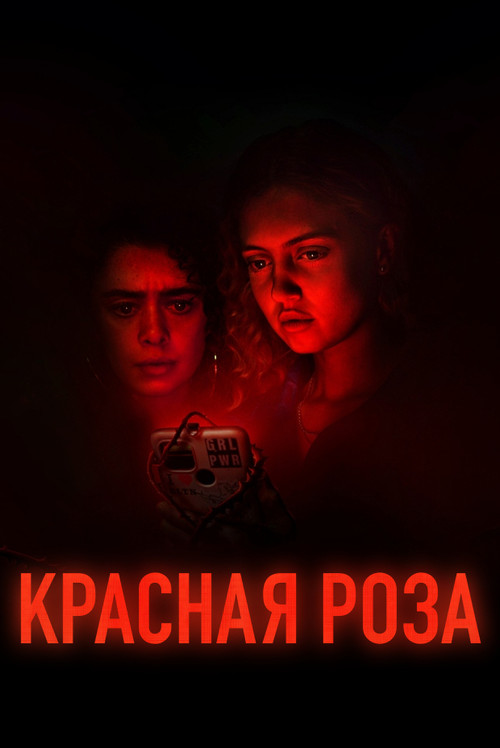 Красная роза постер