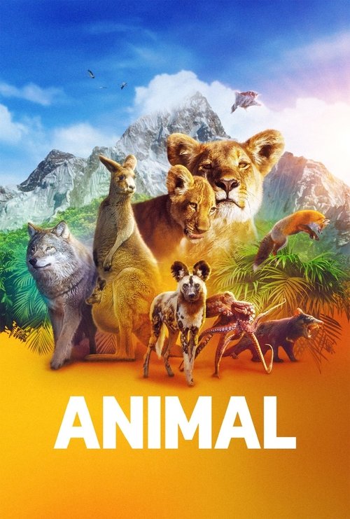 Animal постер