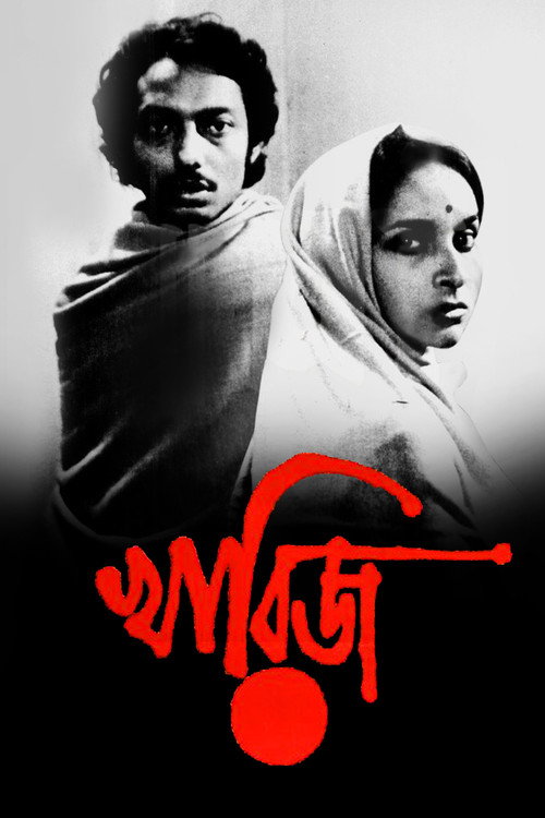 খারিজ постер