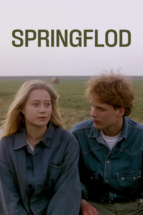 Springflod постер