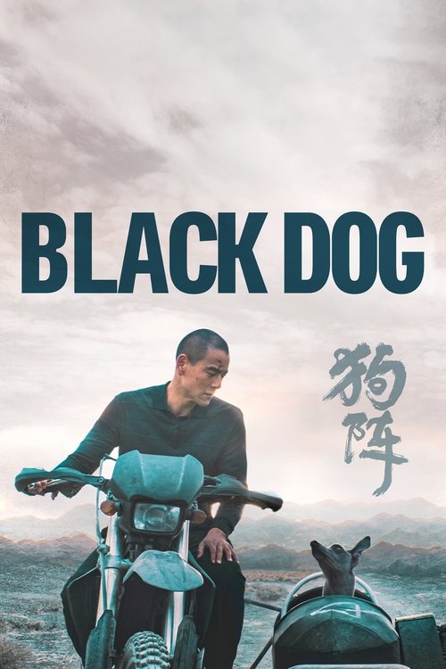Black Dog постер