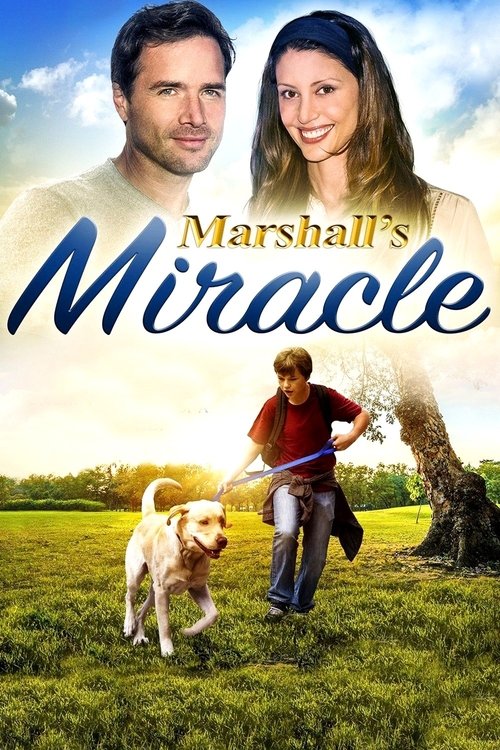 Marshall's Miracle постер