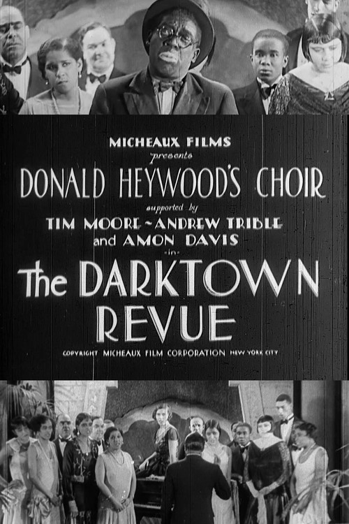 The Darktown Revue постер