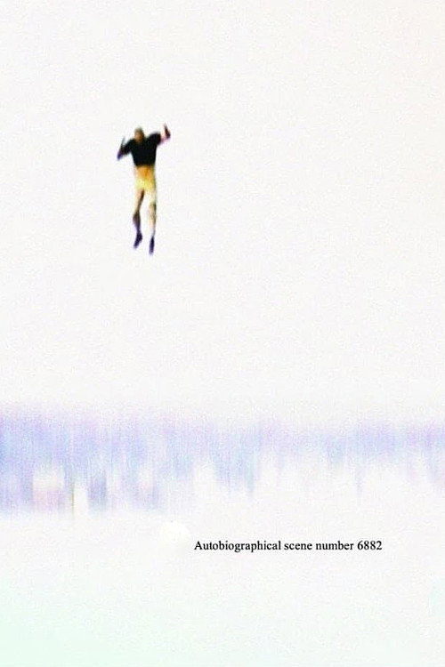 Autobiographical Scene Number 6882 постер