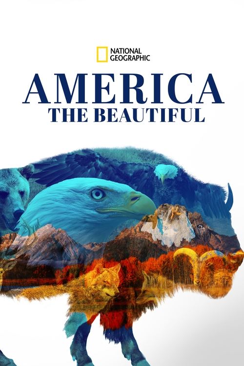 America the Beautiful постер