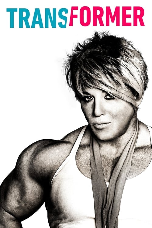 Transformer постер