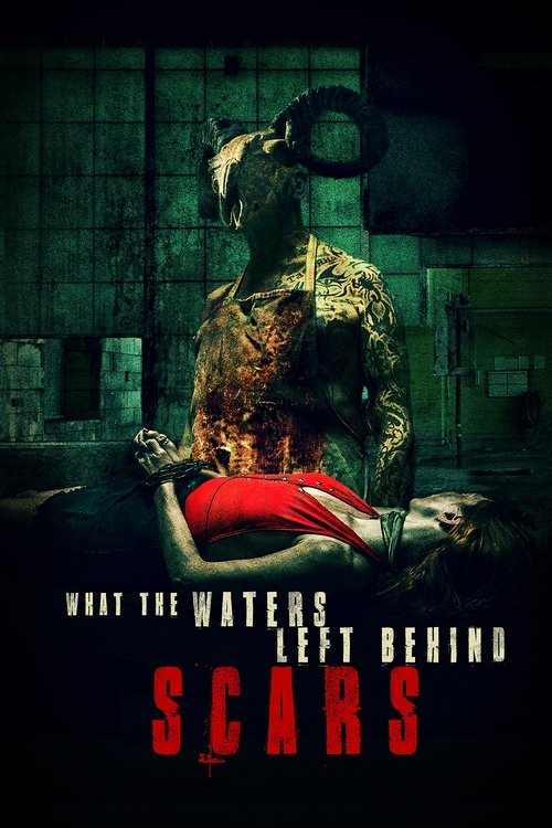 What the Waters Left Behind: Scars постер