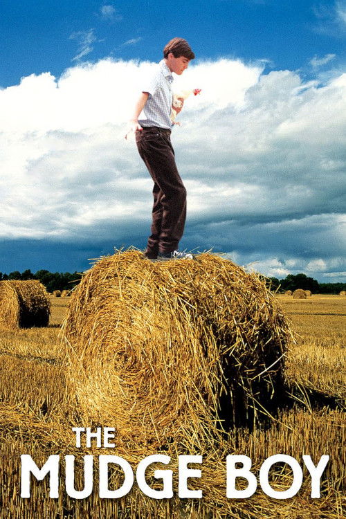 Маменькин сынок постер