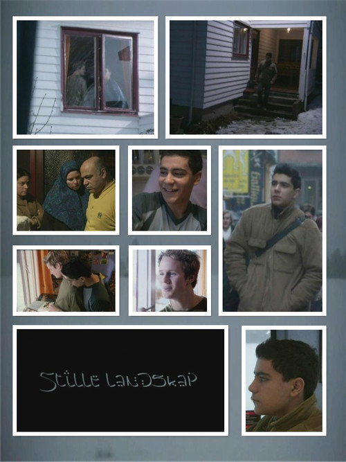 Stille landskap постер