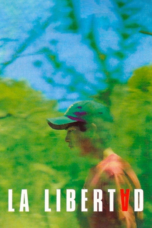 Свобода постер