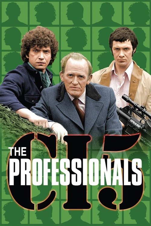 The Professionals постер