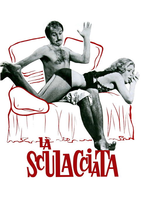 La sculacciata постер