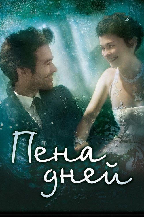 Пена дней постер