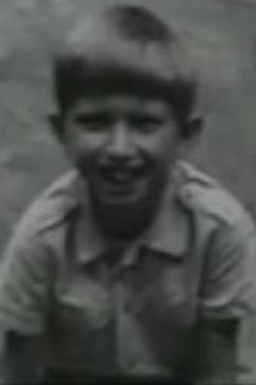 Вайдевутис Мицкис