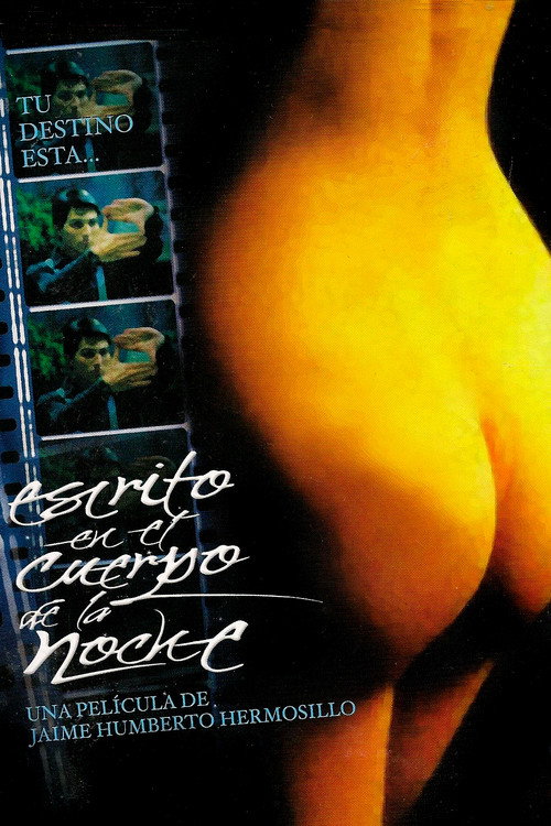 Written on the Body of Night постер