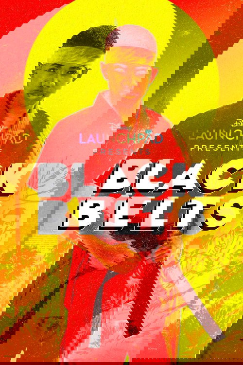 Black Belts постер