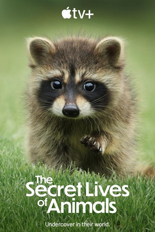 The Secret Lives of Animals постер