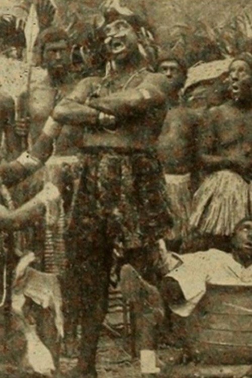 Rastus in Zululand постер