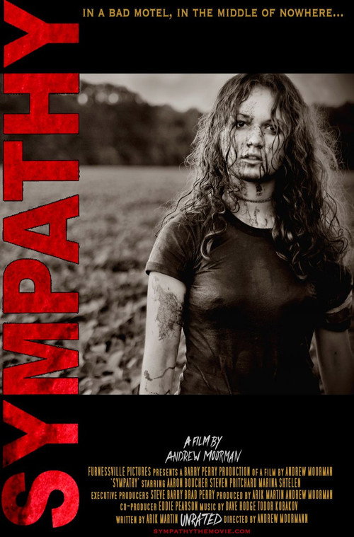 Sympathy постер