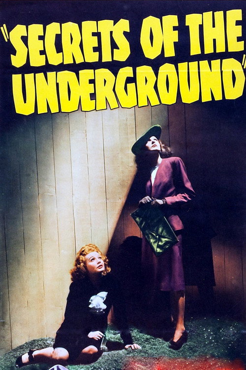 Secrets of the Underground постер