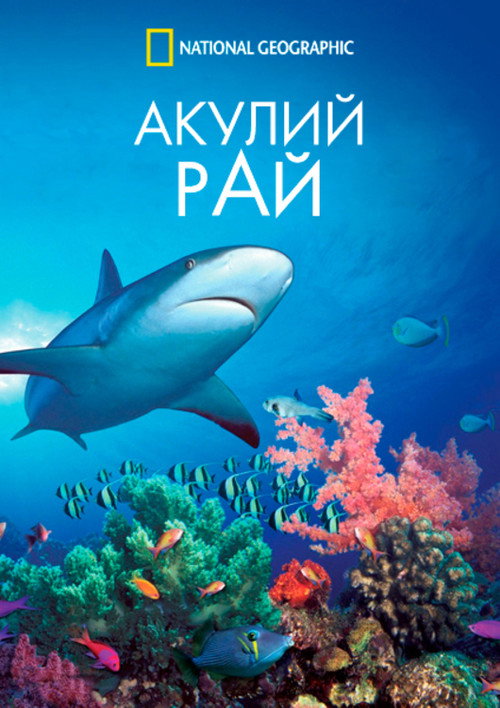 Акулий рай постер