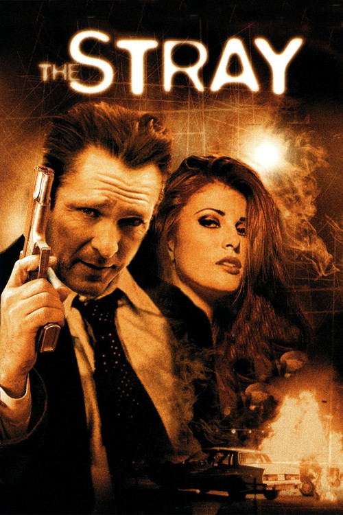 The Stray постер